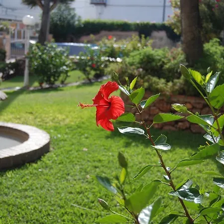 Penthouse Los Jarales 2 Casasol Apartment *